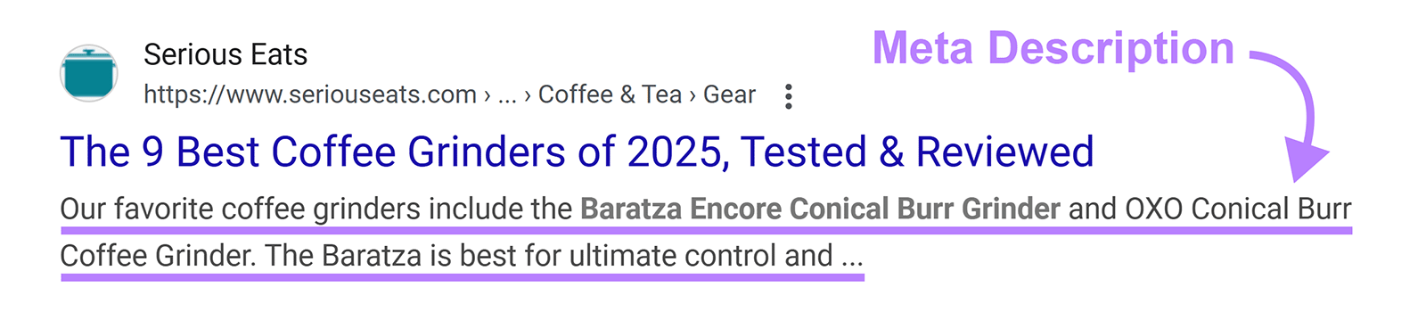 Description under search result highlighted and annotated as Meta Description