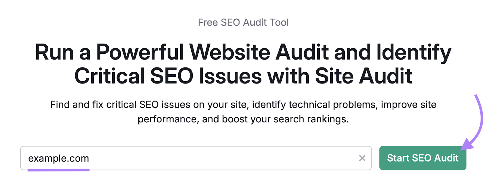 Domain is entered into the tool.
