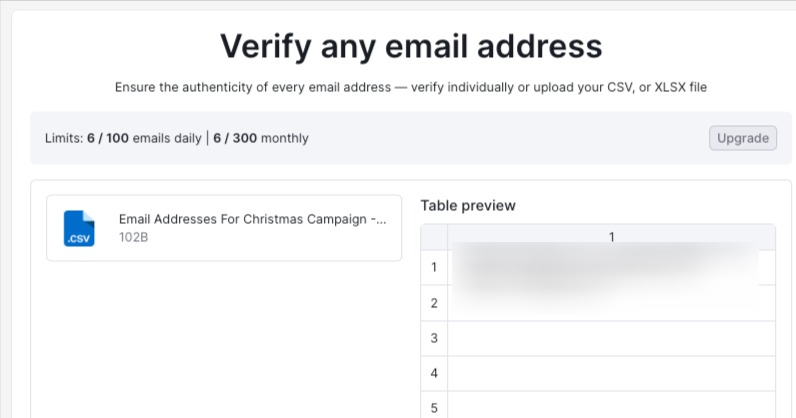 Once you drag your XLSX file or CSV, the interface generates a table preview to show how your email addresses will be checked.
