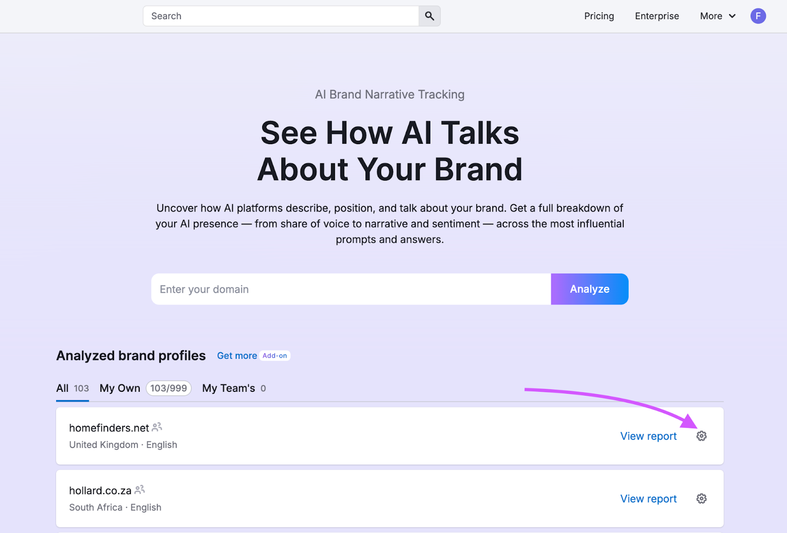 Brand Performance Reports image 2